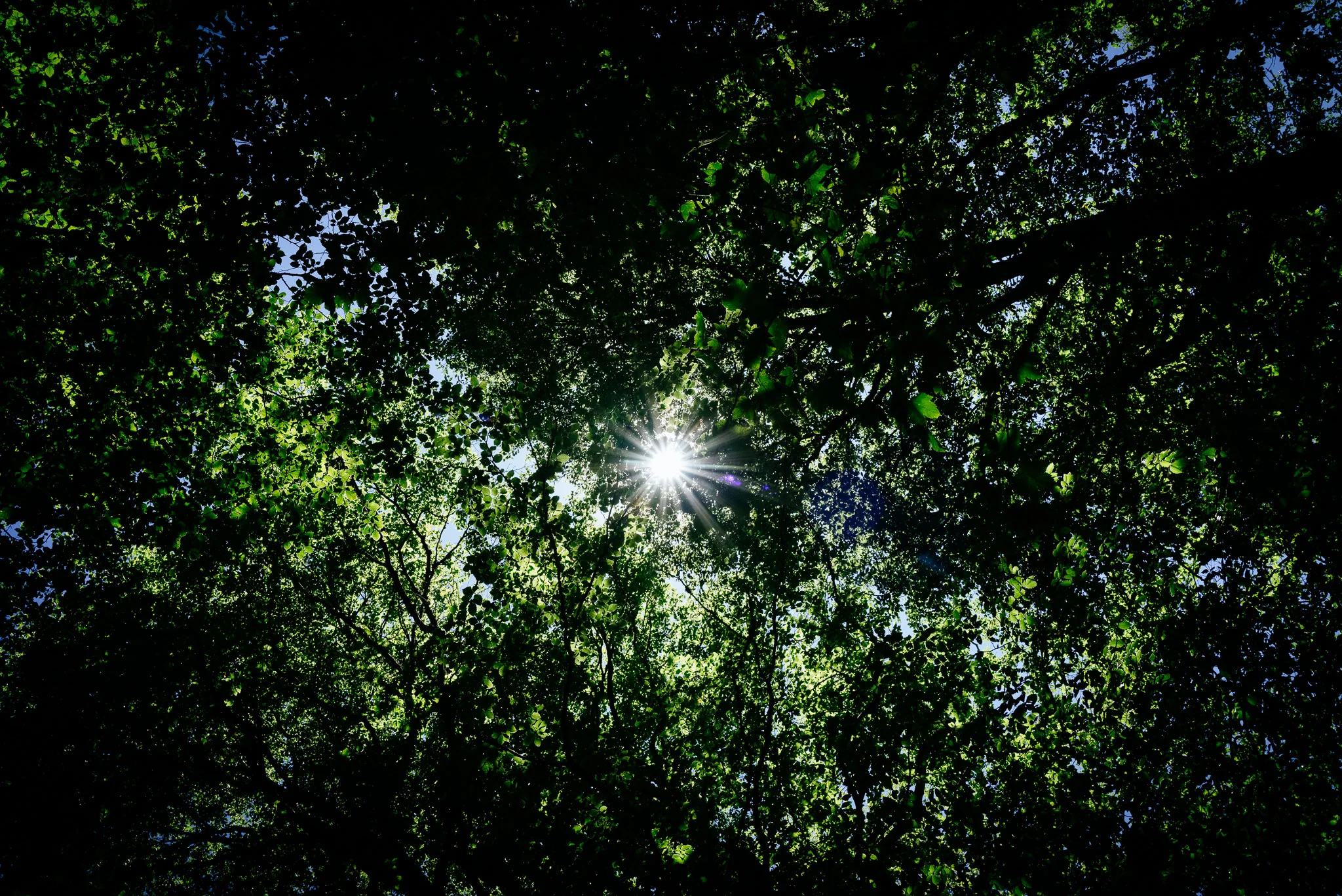 Breathe